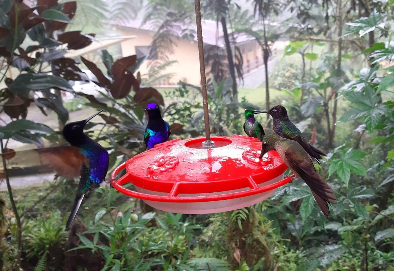Mindo Loma Bird Lodge Esterno foto